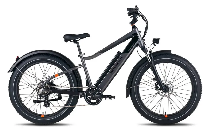 RadRover 6 Plus E-Bike