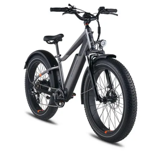 RadRover Plus Electric Fat Bike