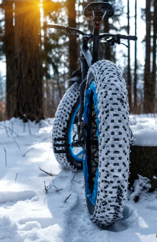 Riding Fat E-Bike through snow