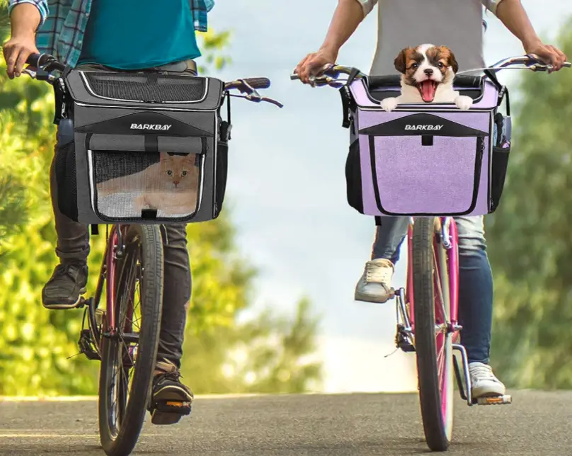 Cat Carrier for E-Bike shown on bike with two riders