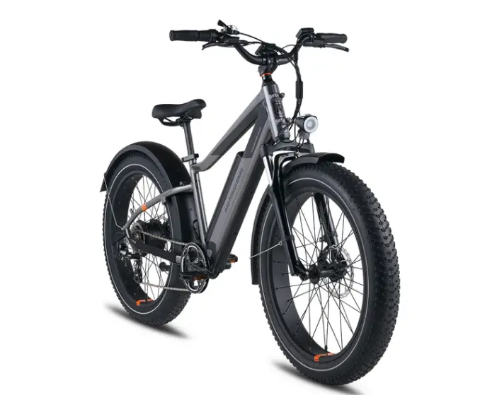 Rad Rover Plus Electric Fat Bike from Rad Power Bikes