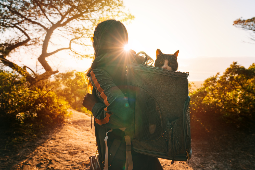 woman walking outdoors nature with cat in backpack carrier