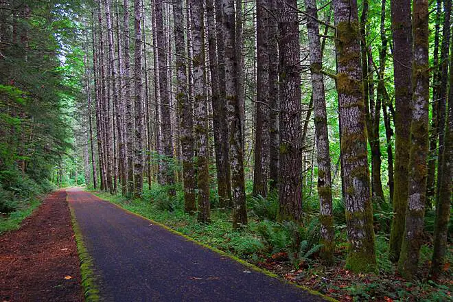 Banks-Vernonia Bike Trail