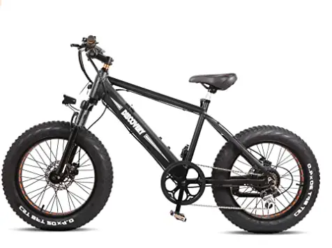 NAKTO 350W Electric Mountain Bike