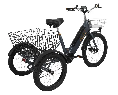 Grey Buzz Bikes Cerana Trike