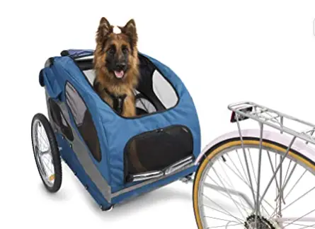 German shephard riding in blue dog trailer