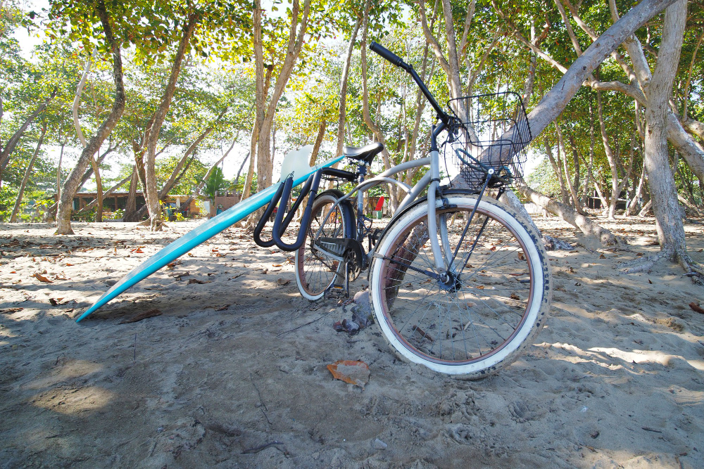 Bike leaning against tree with surfboard leaning on it