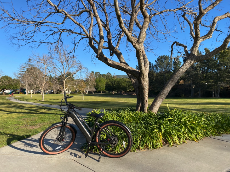 Ride1Up Turris E-Bike in front of a large tree