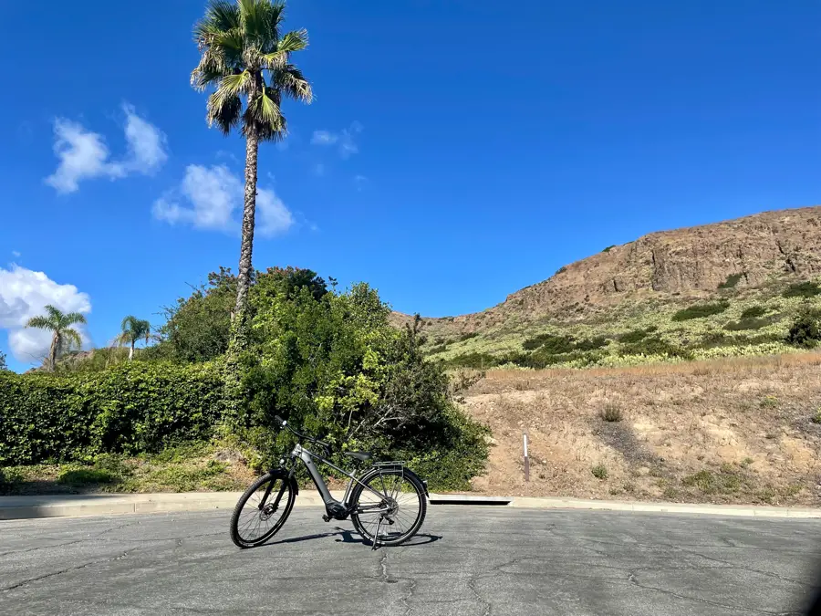 XC Electric Bike in front of hill and palm tree