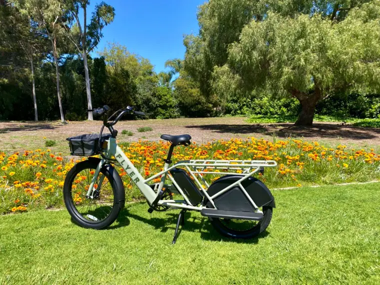 Flyer Via Cargo Ebike 