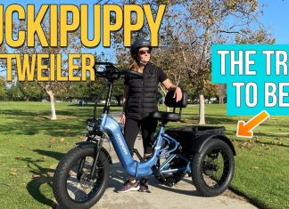 Puckipuppy Rottweiler Review: Why Everyone Wants This E-Trike!