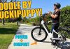 Puckipuppy Poodle Review: A Comfortable, Lightweight E-Bike That’s Surprisingly Affordable